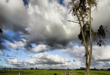 比较聚财的公司名字免费取名